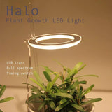 Angel Ring Grow Light Full Spectrum Lamp For Indoor Plant Seedlings