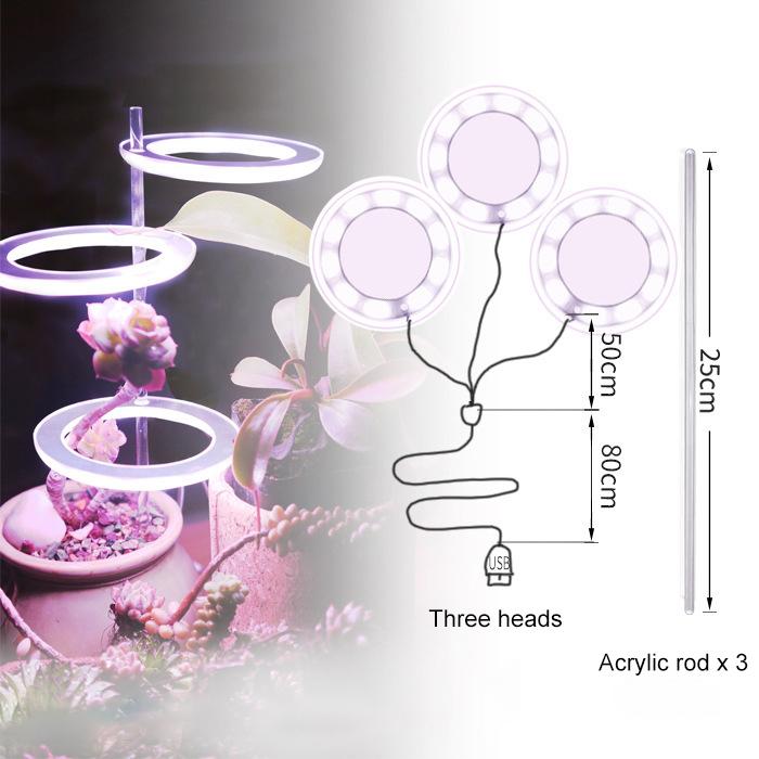 Angel Ring Grow Light Full Spectrum Lamp For Indoor Plant Seedlings