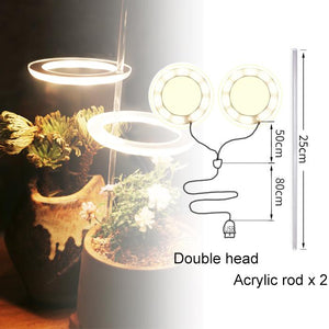 Angel Ring Grow Light Full Spectrum Lamp For Indoor Plant Seedlings