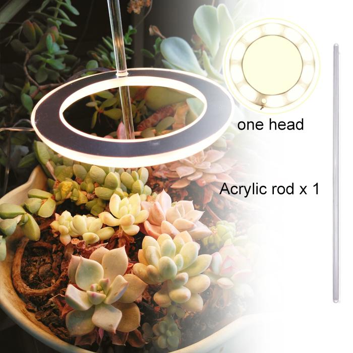 Angel Ring Grow Light Full Spectrum Lamp For Indoor Plant Seedlings