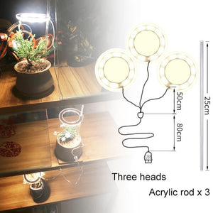 Angel Ring Grow Light Full Spectrum Lamp For Indoor Plant Seedlings