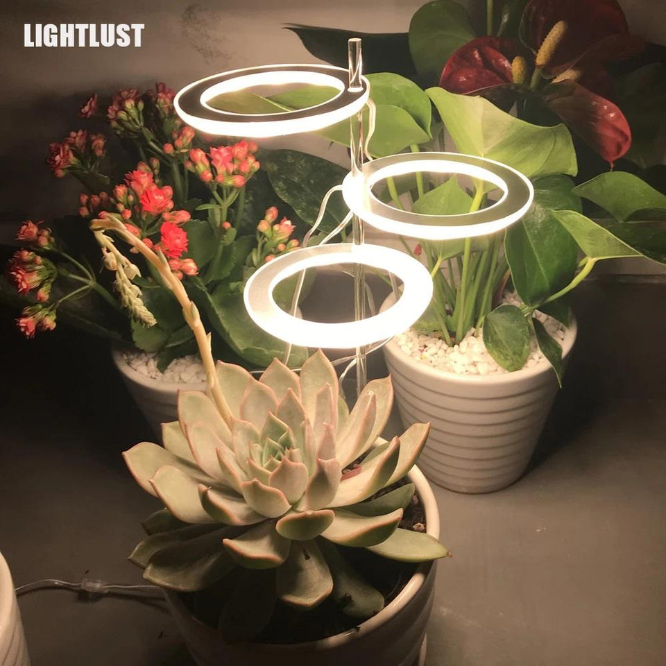 Angel Ring Grow Light Full Spectrum Lamp For Indoor Plant Seedlings