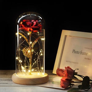 No1 Enchanted Rose LED In A Glass Dome