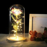 No1 Enchanted Rose LED In A Glass Dome